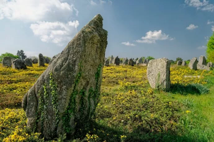 Un espace vert composé de fleurs jaunes, d'un ciel bleu et de menhirs à Carnac.